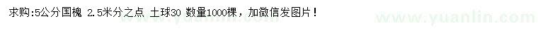 求購(gòu)5公分國(guó)槐
