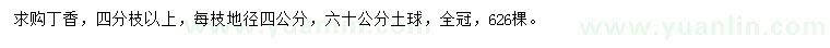 求購每枝地徑4公分丁香
