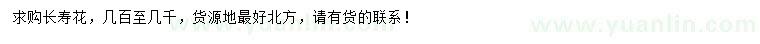 求購(gòu)長(zhǎng)壽花