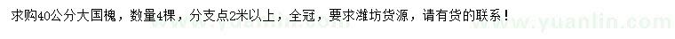 求購40公分大國槐