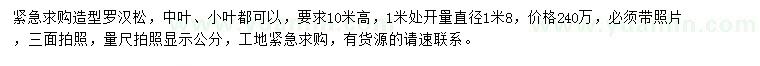 求購1米處開量直徑1米8造型羅漢松