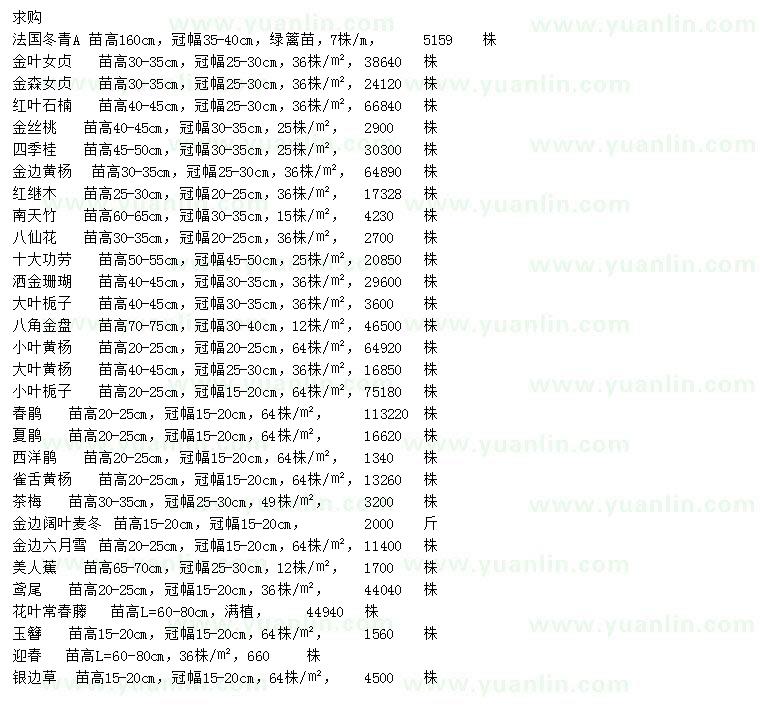 求購法國冬青、金葉女貞、金森女貞等