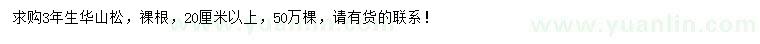 求購20公分以上華山松