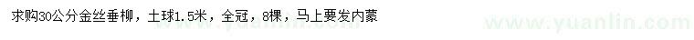 求購(gòu)30公分金絲垂柳