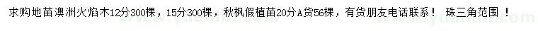 求購12、15公分澳洲火焰木、20公分秋楓