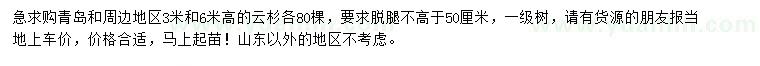 求購高3、6米云杉
