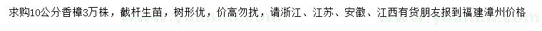 求購(gòu)10公分香樟