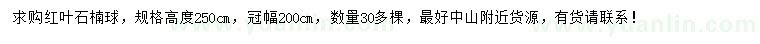 求購高2.5米紅葉石楠球