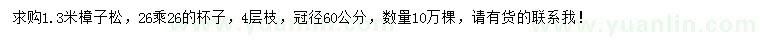 求購1.3米樟子松