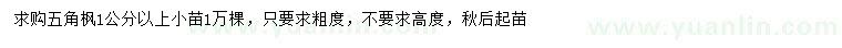 求購(gòu)1公分以上五角楓小苗