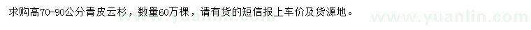 求購高70-90公分青皮云杉