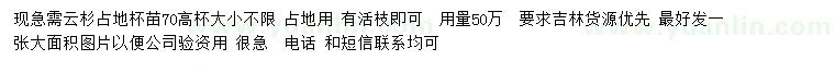 求購(gòu)70公分高云杉