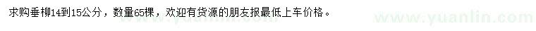 求購14-15公分垂柳
