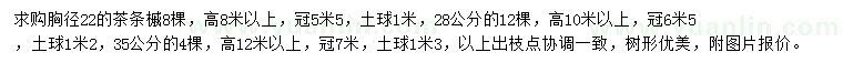 求購胸徑22、28、35公分茶條槭