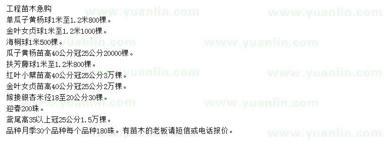 求購瓜子黃楊球、金葉女貞球、海桐球等