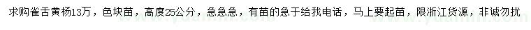 求購高25公分雀舌黃楊
