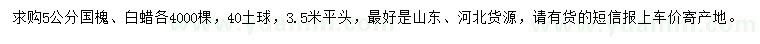 求購5公分國槐、白蠟