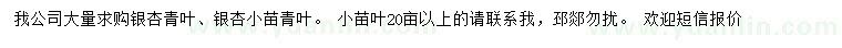 求購銀杏青葉、銀杏小苗