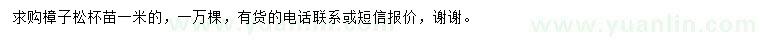 求購1米樟子松