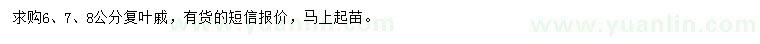 求購6、7、8公分復葉槭