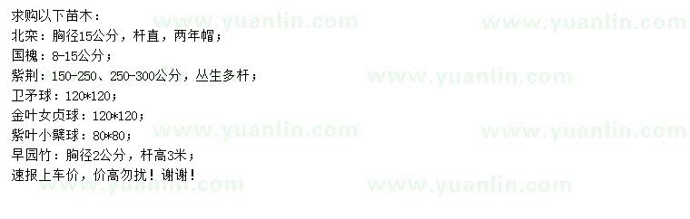 求購(gòu)北欒、國(guó)槐、紫荊等