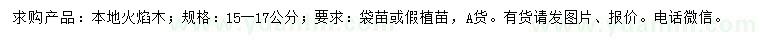 求購15-17公分本地火焰木