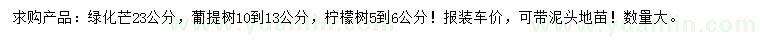 求購綠化芒、菩提樹、檸檬樹