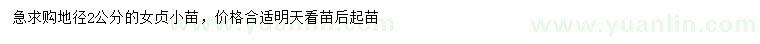 求購(gòu)地徑2公分女貞小苗