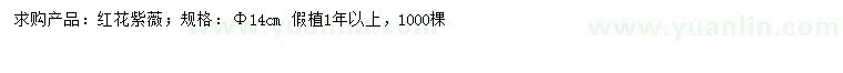 求購14公分紅花紫薇