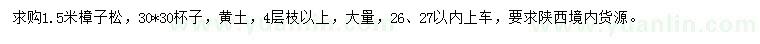 求購1.5米樟子松