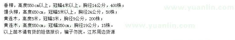 求購垂柳、饅頭柳、黃連木