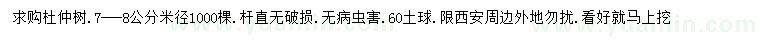求購米徑7-8公分杜仲樹