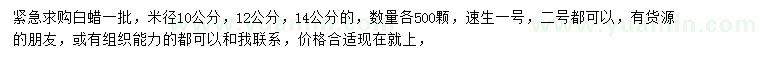 求購米徑10、12、14公分白蠟