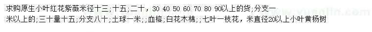 求購原生小葉紅花紫薇、小葉黃楊樹 