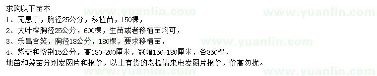 求購(gòu)無(wú)患子、大葉榕、樂昌含笑等