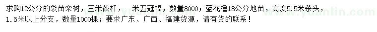 求購(gòu)12公分欒樹(shù)、18公分藍(lán)花楹