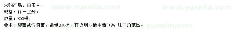 求購11-12公分白玉蘭