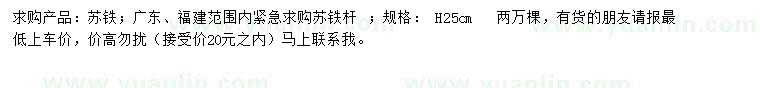 求購高25公分蘇鐵