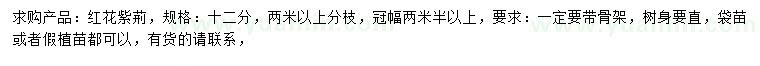 求購(gòu)12公分紅花紫荊