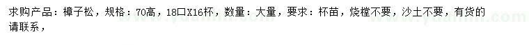 求購70公分高樟子松