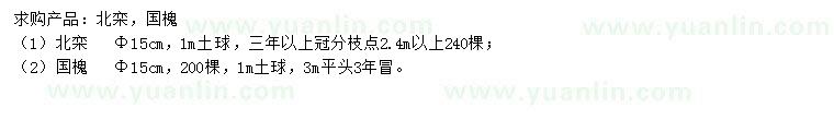 求購15公分北欒、國槐