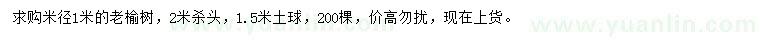 求購米徑1米老榆樹