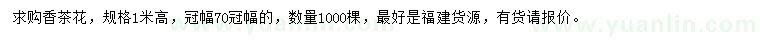求購高1米香茶花