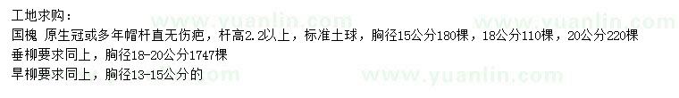 求購國槐、垂柳、旱柳