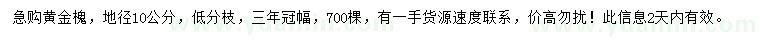 求購地徑10公分黃金槐