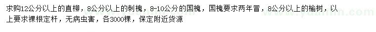 求購直柳、刺槐、國槐等