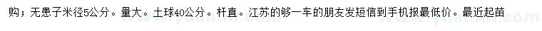 求購米徑5公分無患子