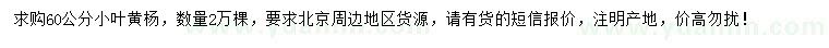 求購60公分小葉黃楊