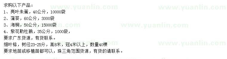 求購細葉榕、蒲葵、海桐等