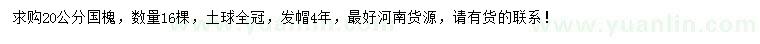 求購20公分國槐